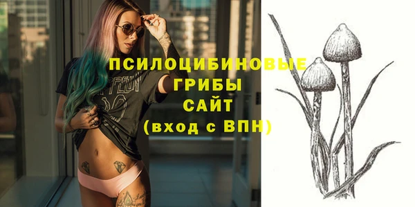 spice Арсеньев
